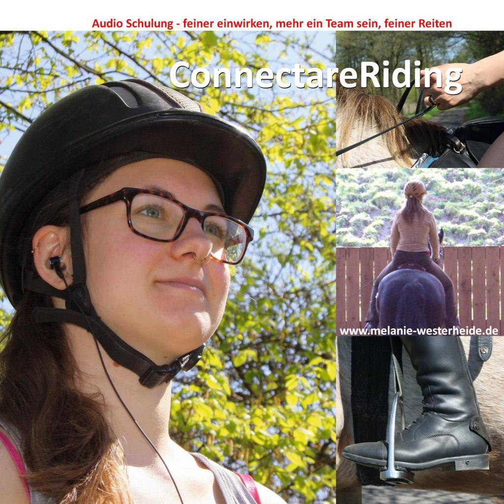 Traumschwingen Verlag